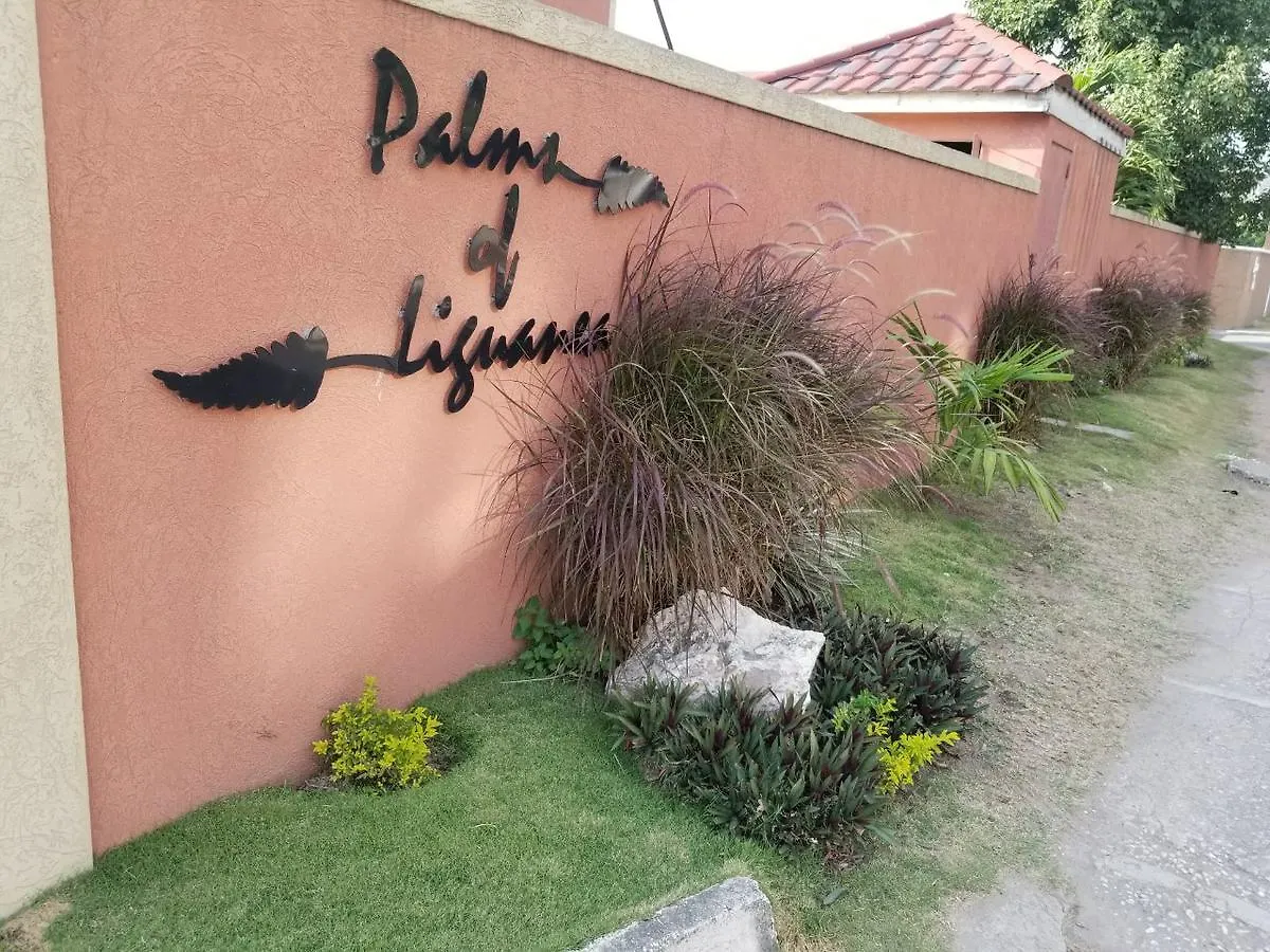 Appartement Palms Of Liguanea à Kingston